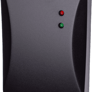 bibi-R55